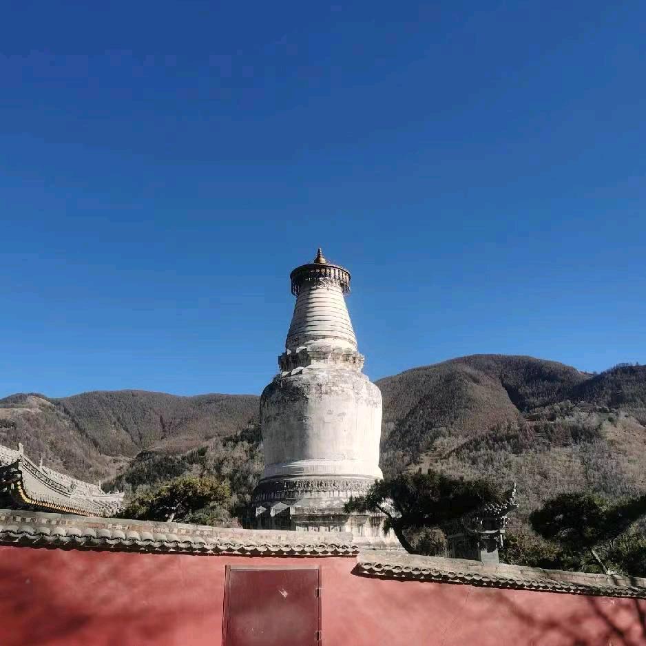 善缘师兄三