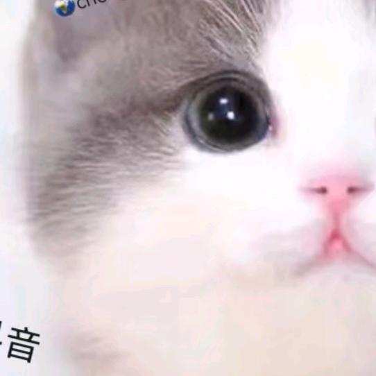 88663254