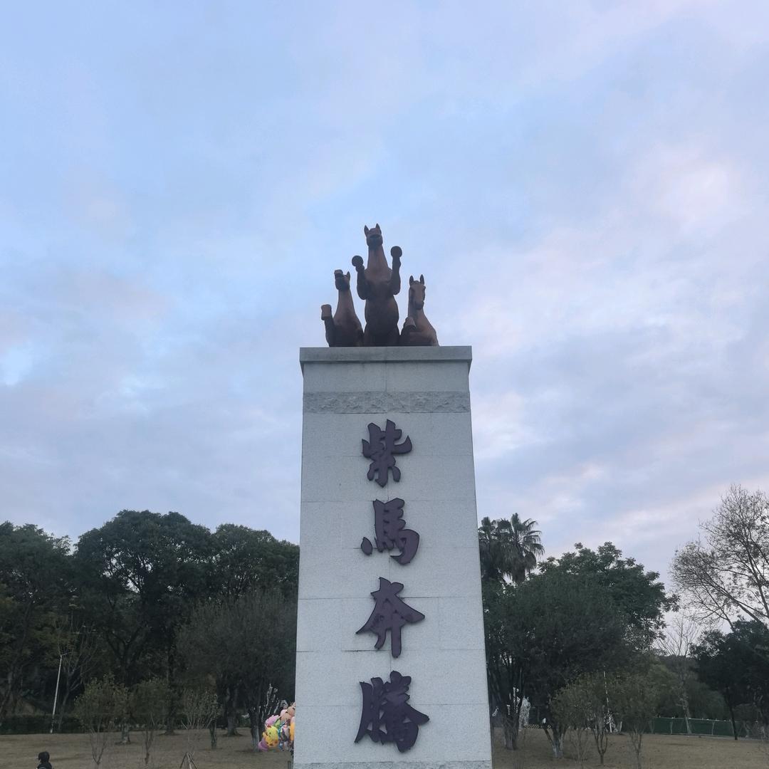 策马奔腾