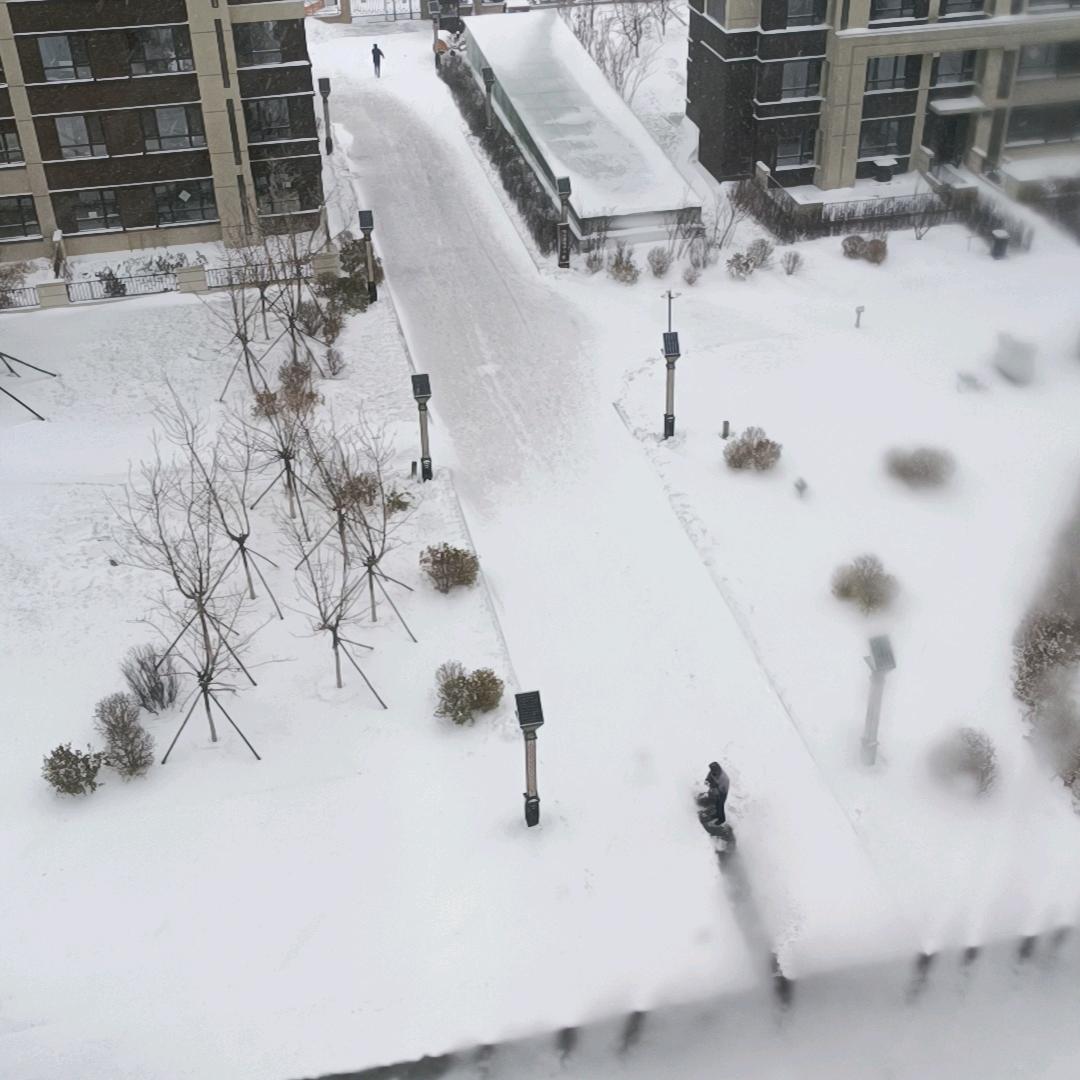 (๑ŏ 北方狼＃🐺