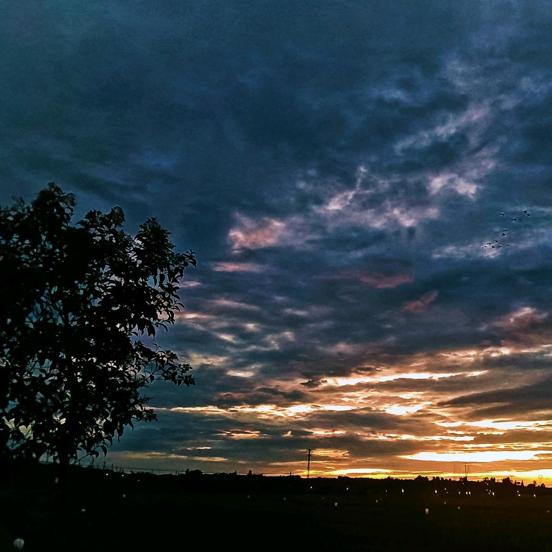 最熟悉的陌生人1