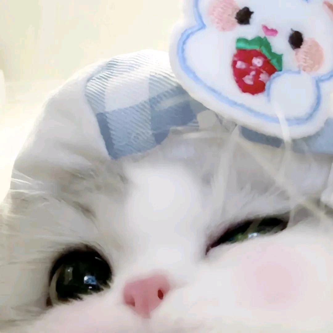 桁桁