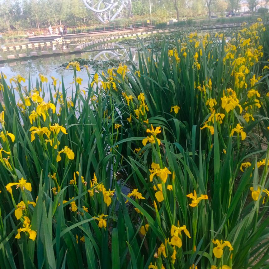 烈酒难消世间愁