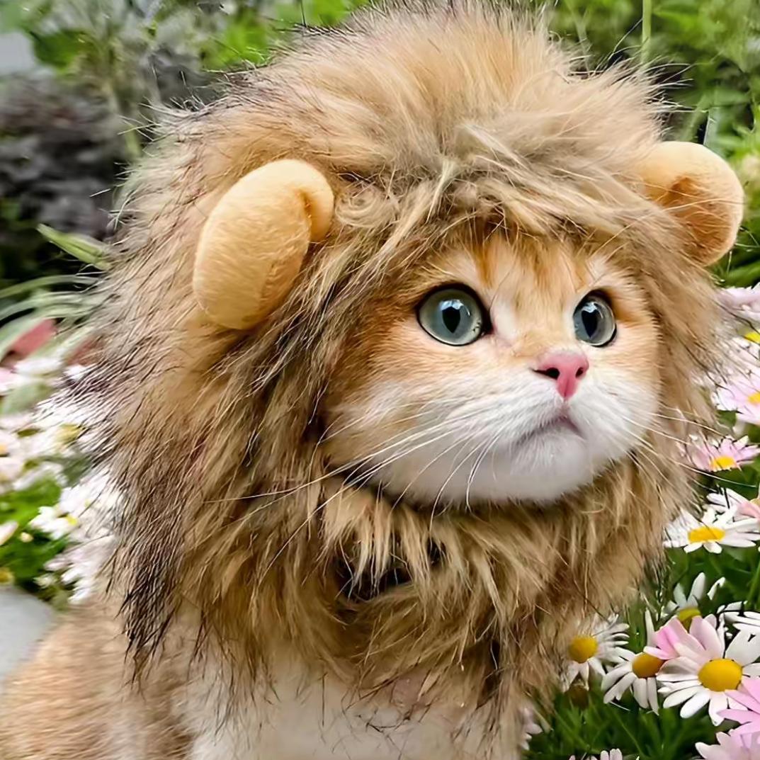 ：╮木子李🌱╮