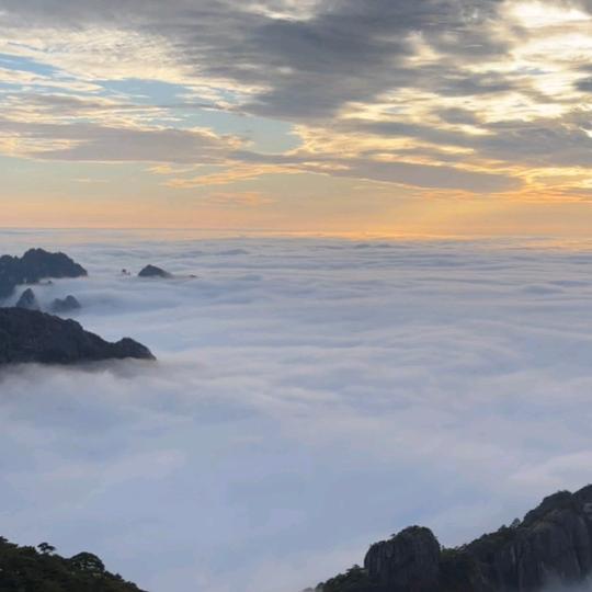阿成