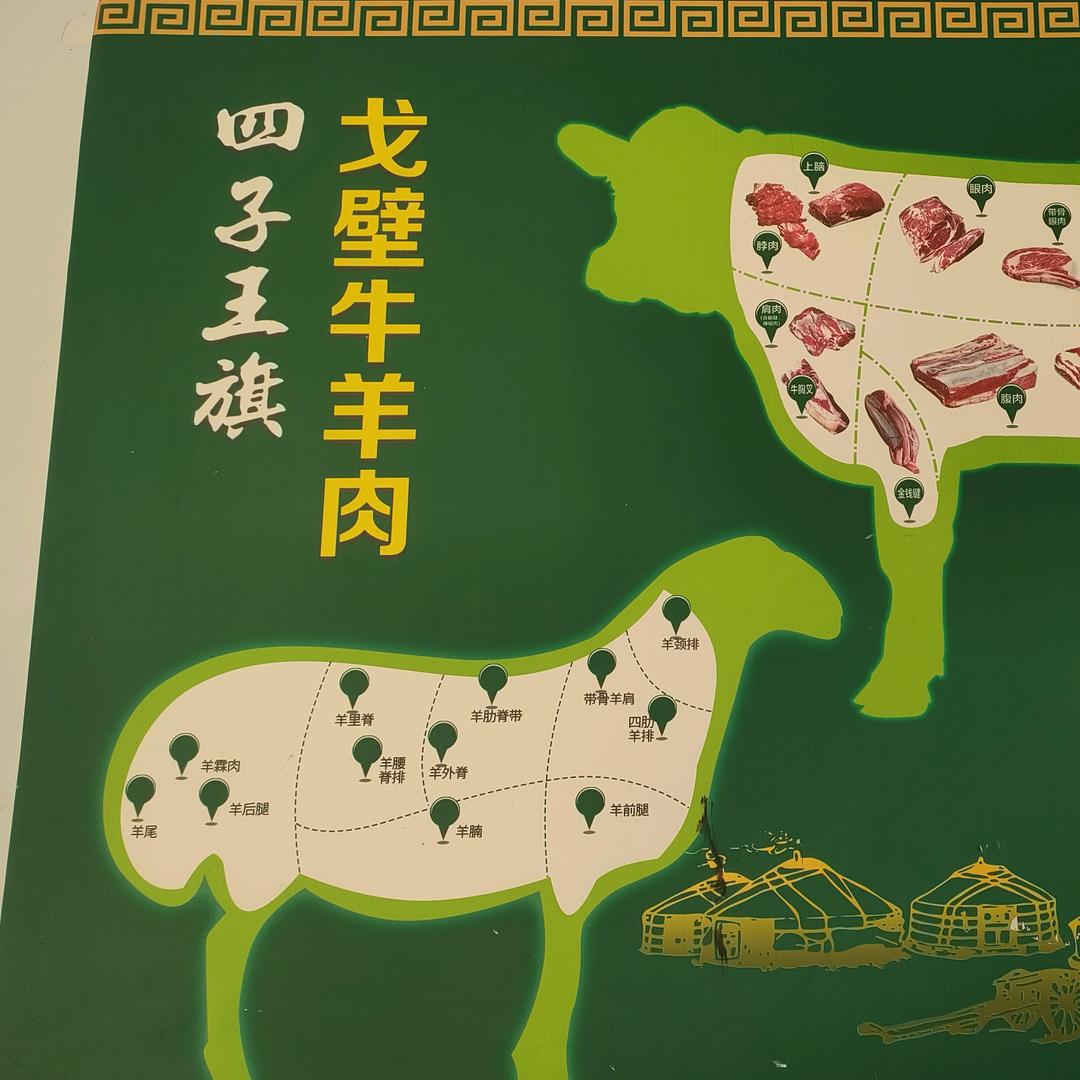 内蒙古四子王旗草坡牛羊肉