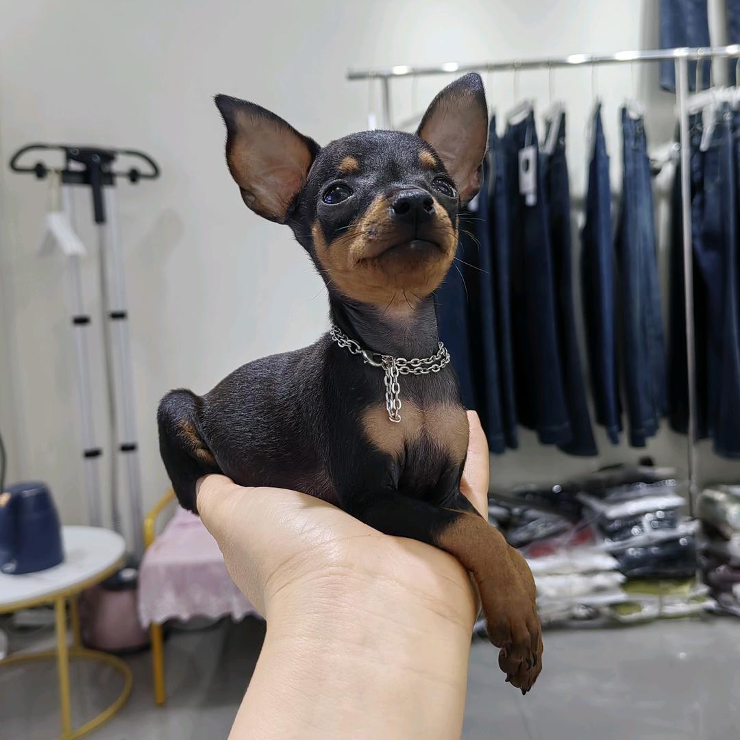 姜小璐
