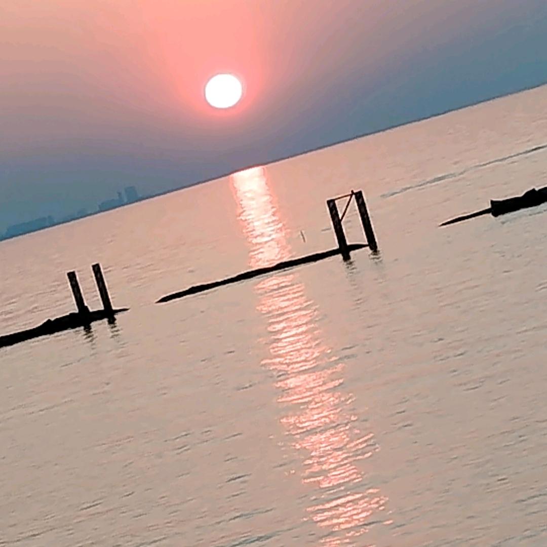 丢了幸福的佩奇