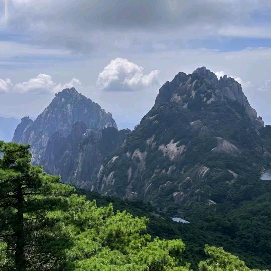 师傅助理清白 回关领答案