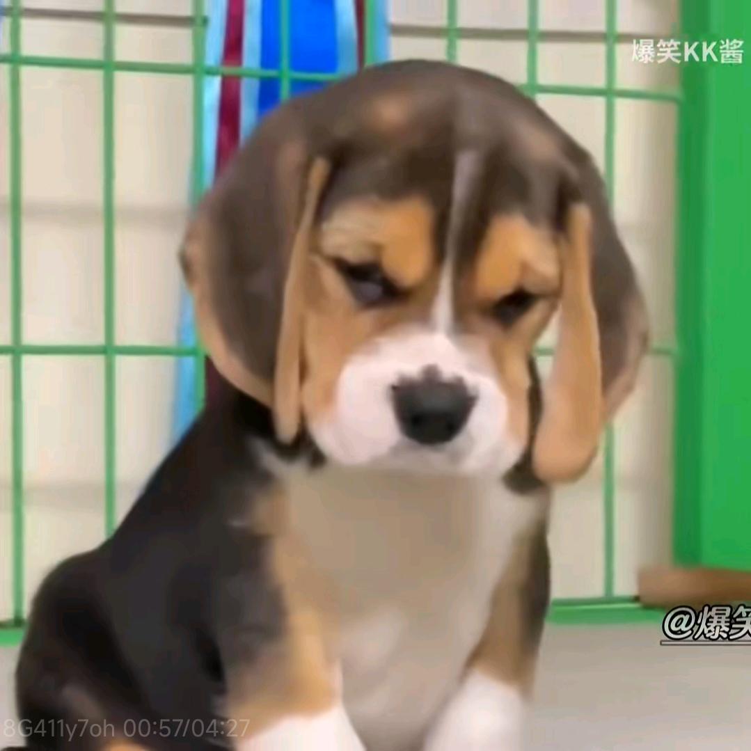 我在风中更潇洒