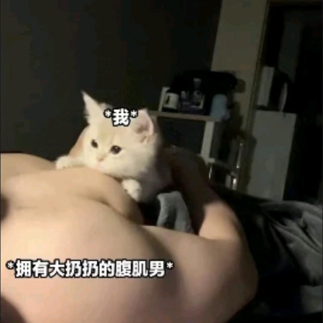 考研英语周洋鑫（小学表弟版