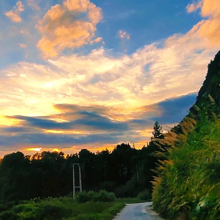 爱吃多佛尔鲽鱼的柳谨头像