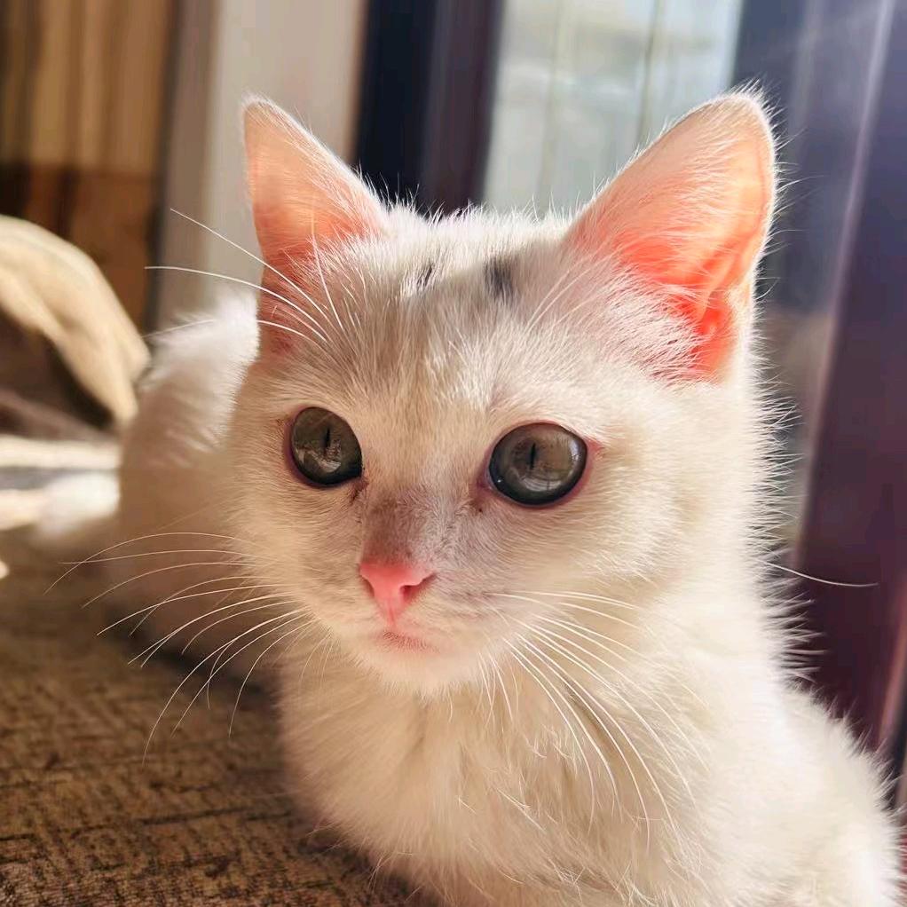 上上签🙃🙃🙃