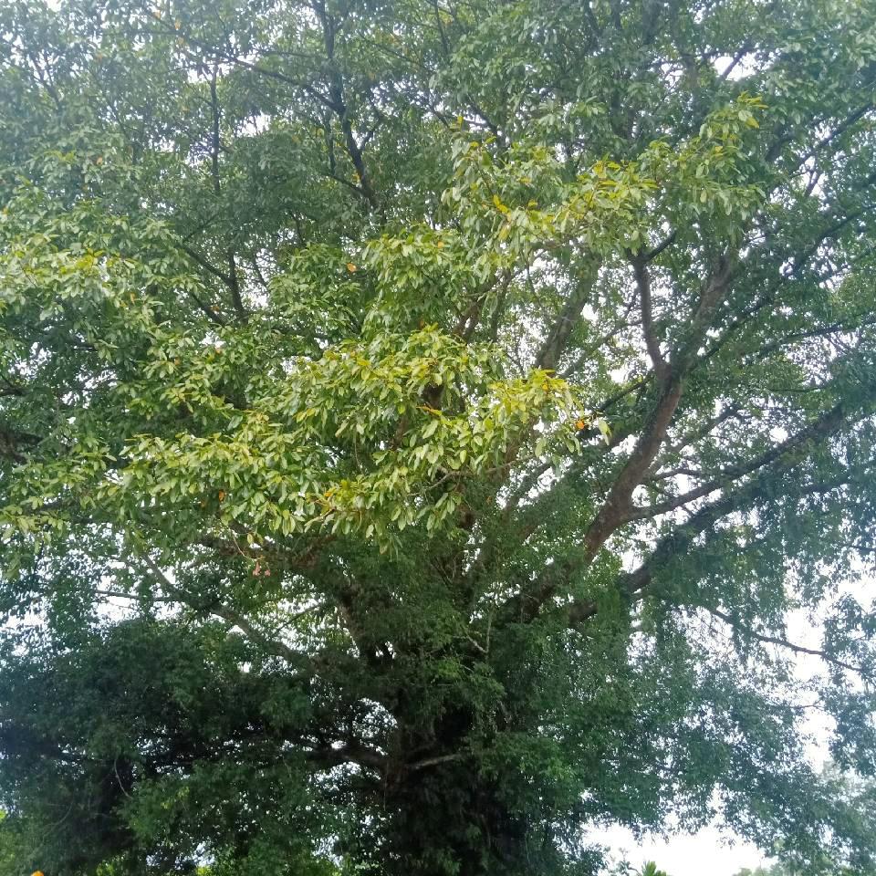 谁是英雄