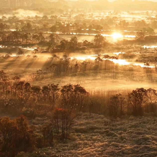 九河贸易多元精品店