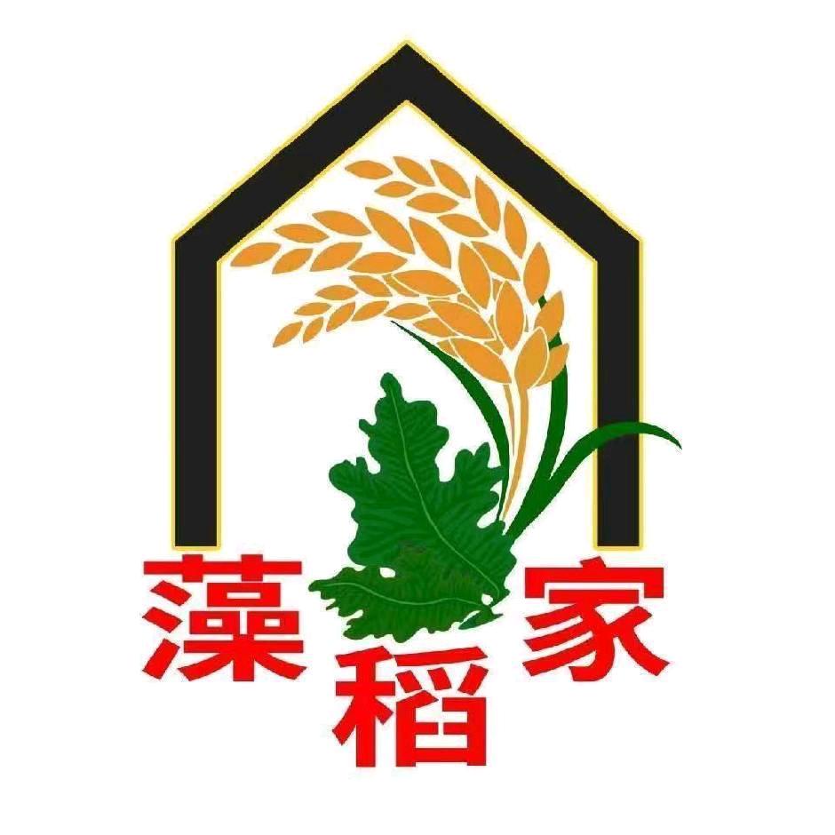 篮球助农十三姊妹