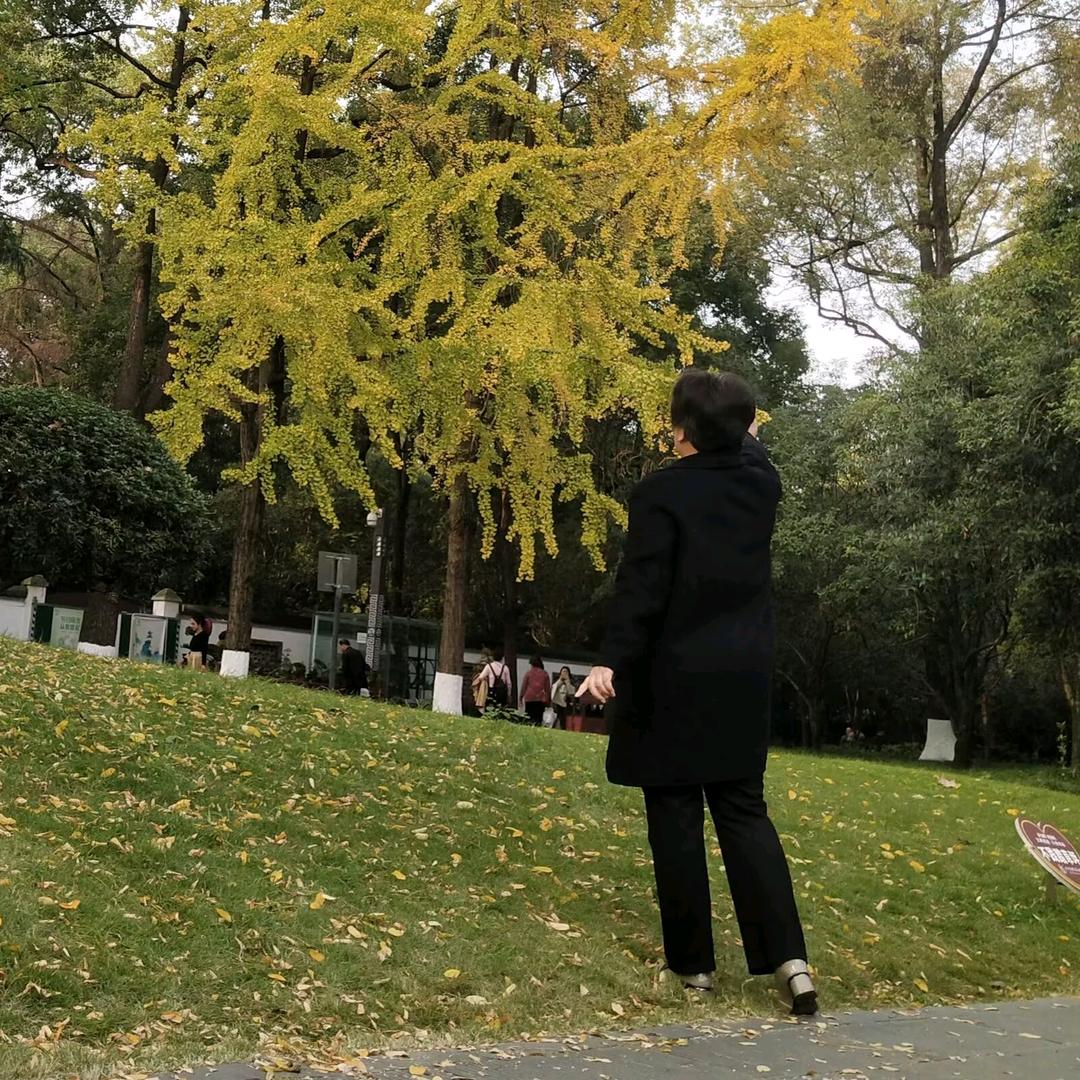 快乐畅享坊