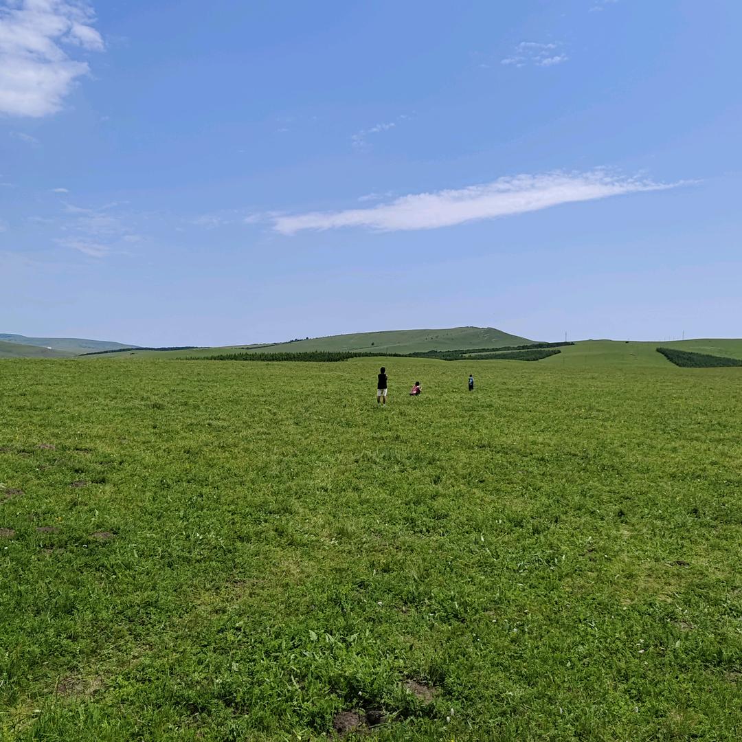 穿山甲