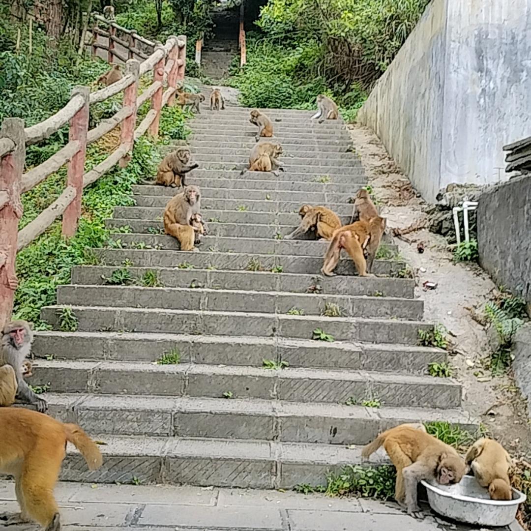 胖仙女看过来