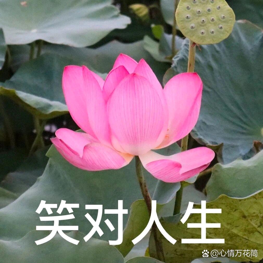***风吹过