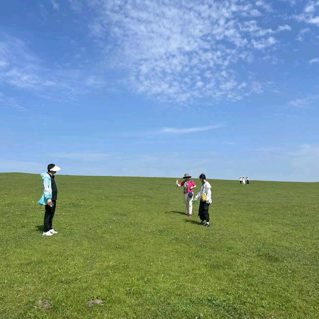 沈高峰