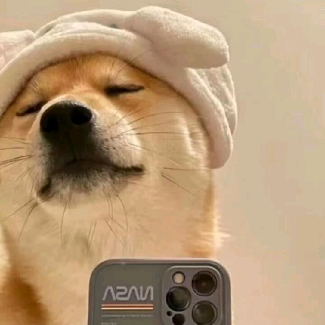 朝夕