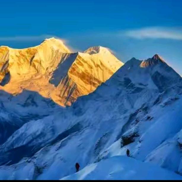 开宝马捡瓶子的大叔