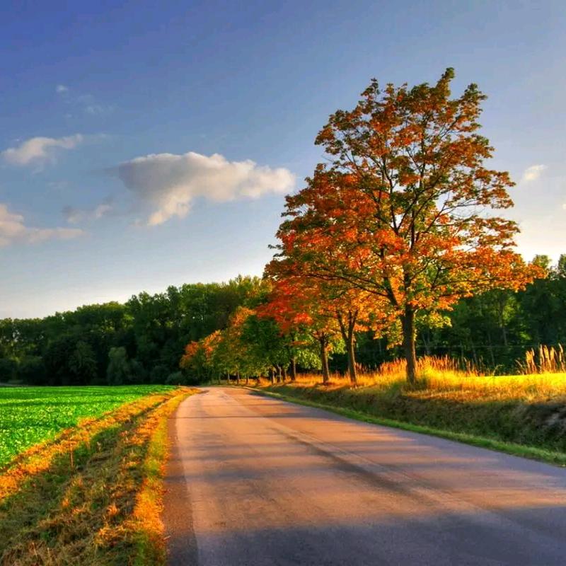 奋斗不息的梦想