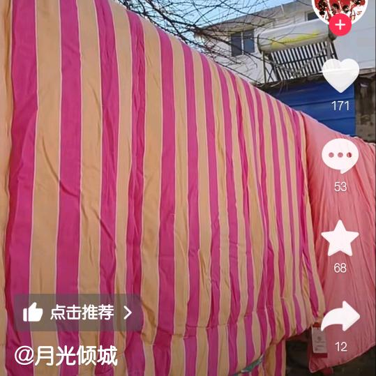 狼