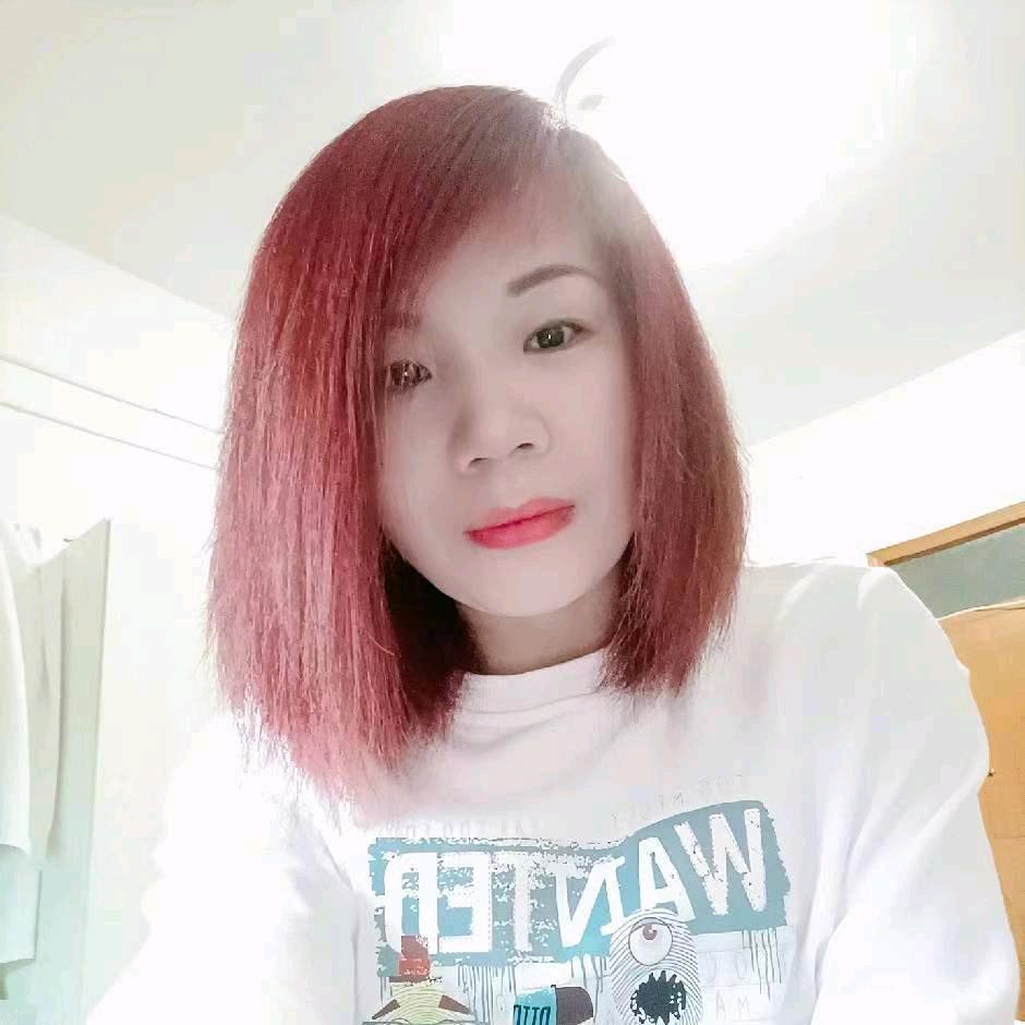 羊洋