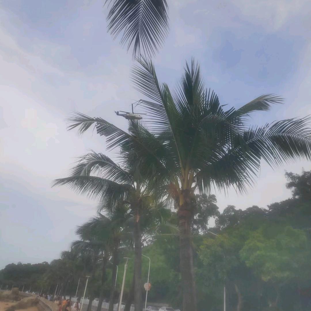 凯华、