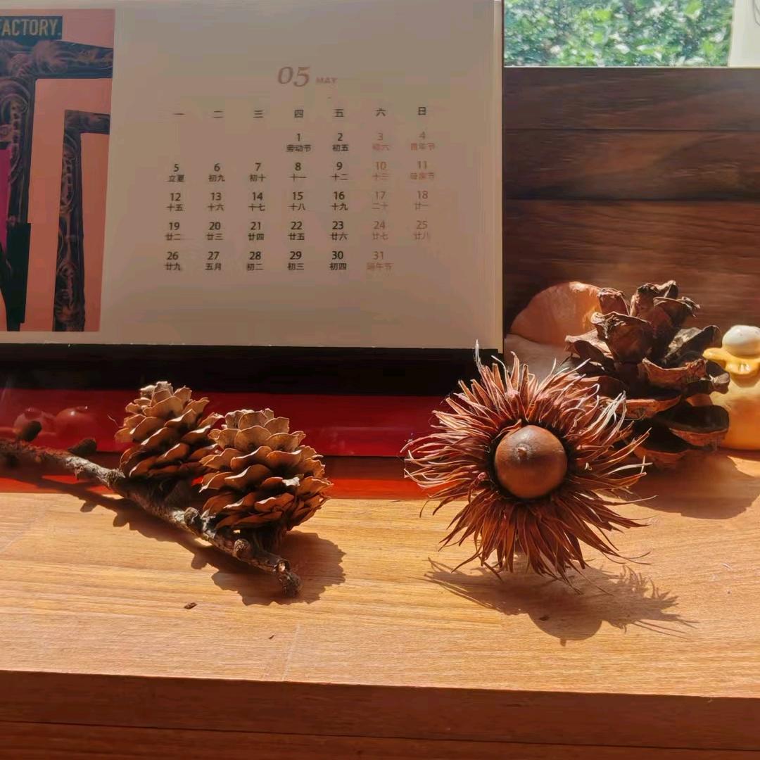 青岛导游张小瑜