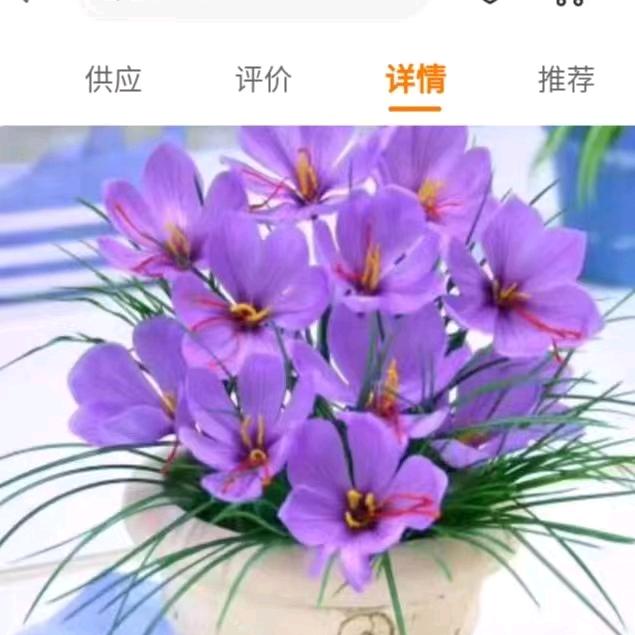 王金山
