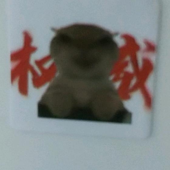 广西大师（努力版）