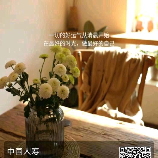 快乐人生🌺