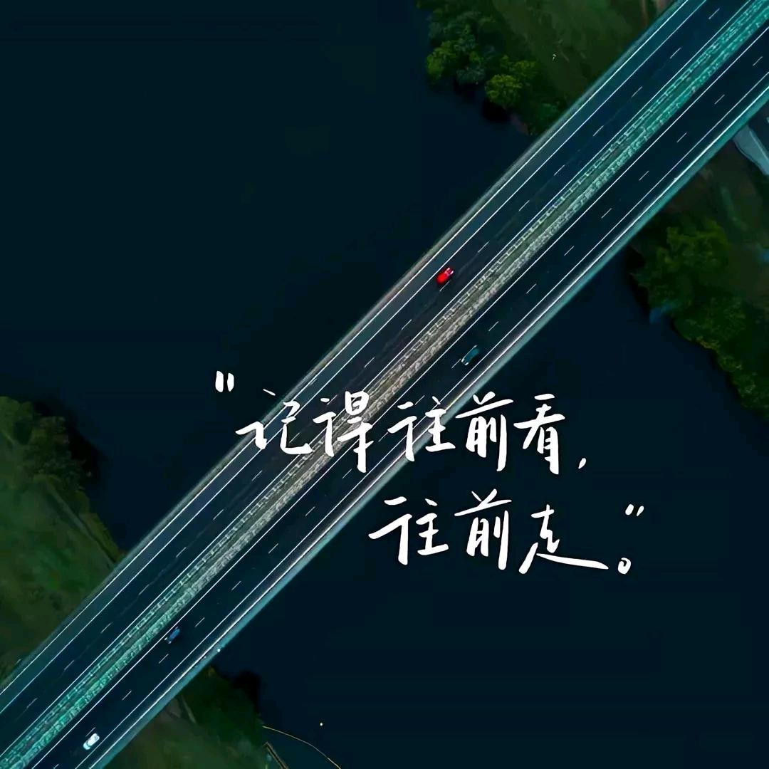 左撇子🔥出售龟苗