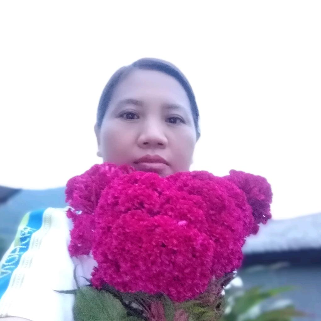茶马人家古茶坊