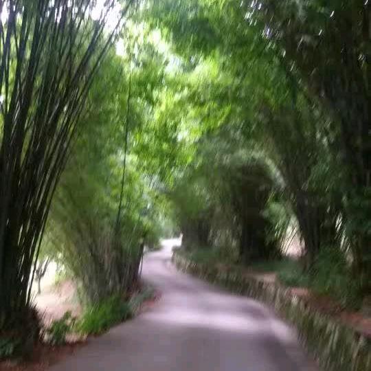 开心快乐