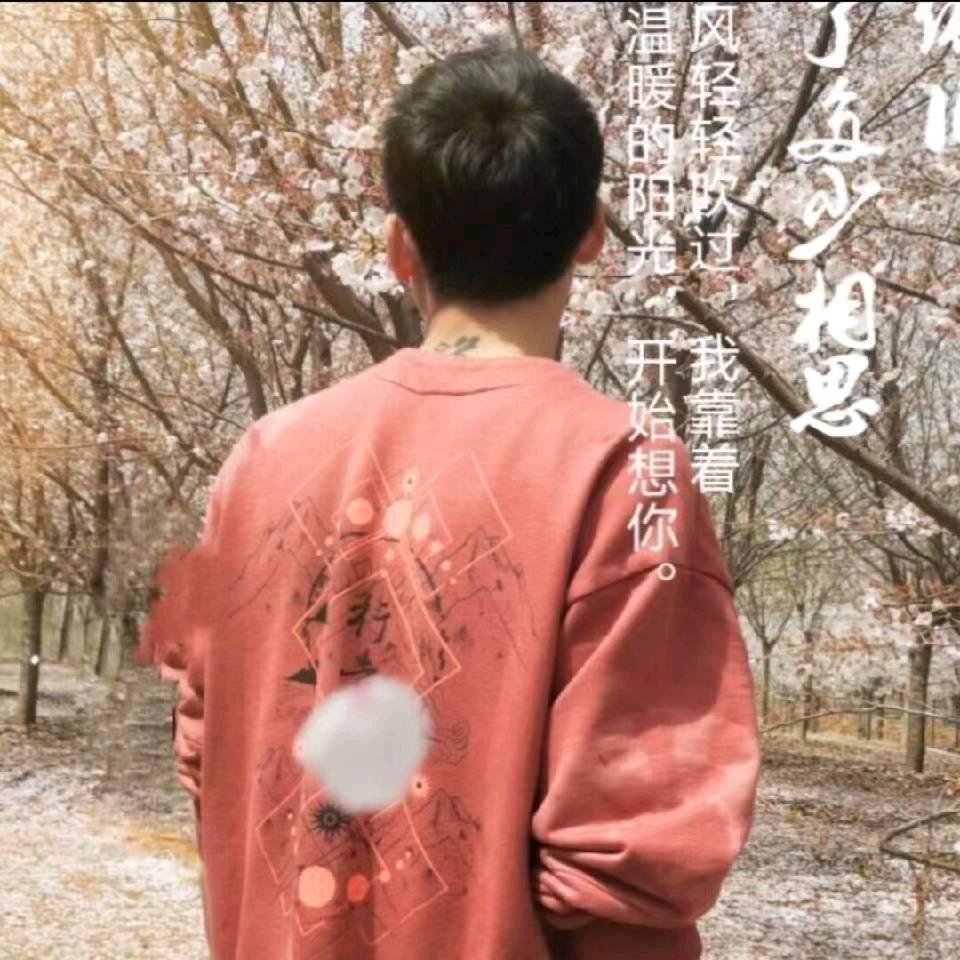 不是宝总