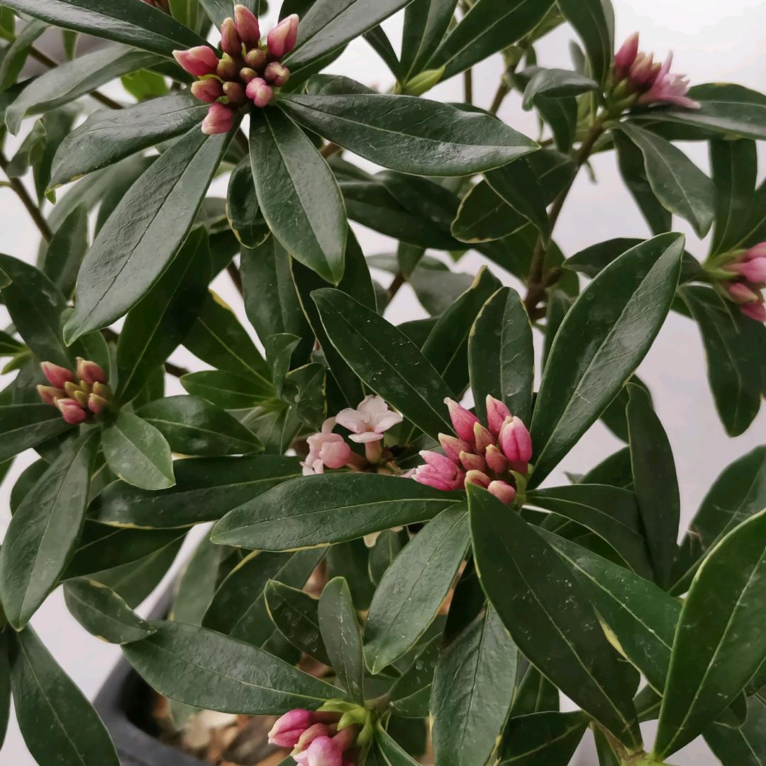 春暖花开1111！
