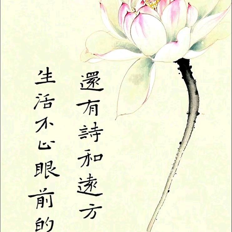 十一 ya