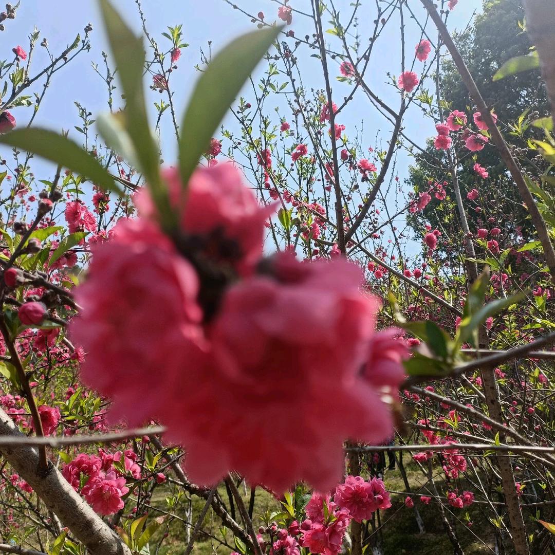 曾:   曾的很不错^O^