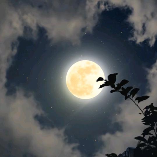 what  are  you doing