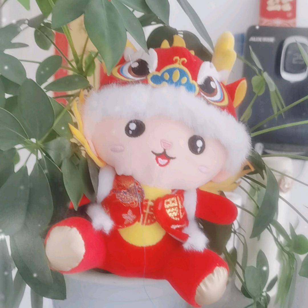 青岛美