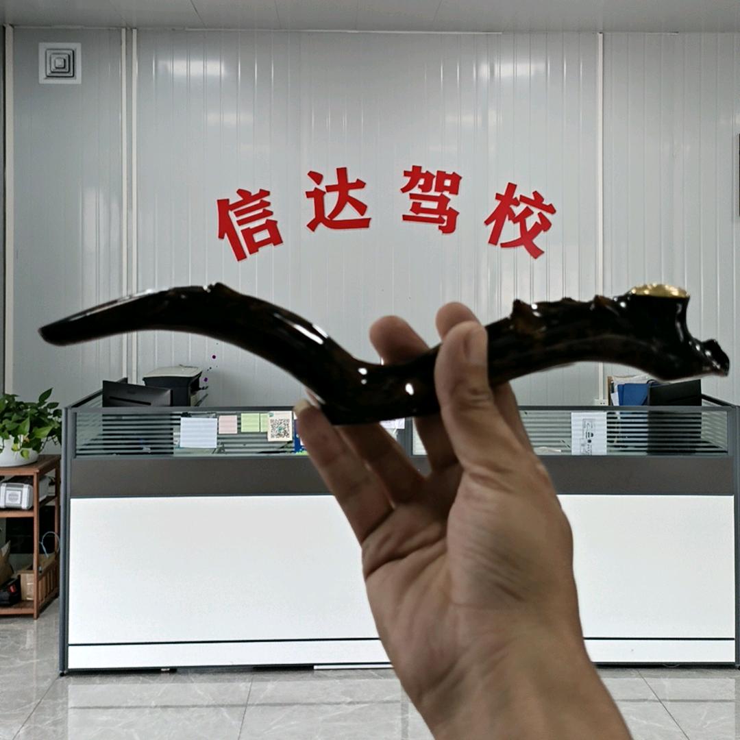 海柳教练猴哥