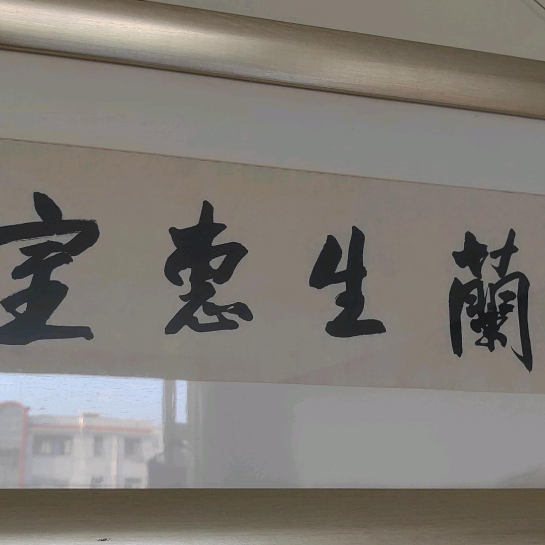教生物的秦老师