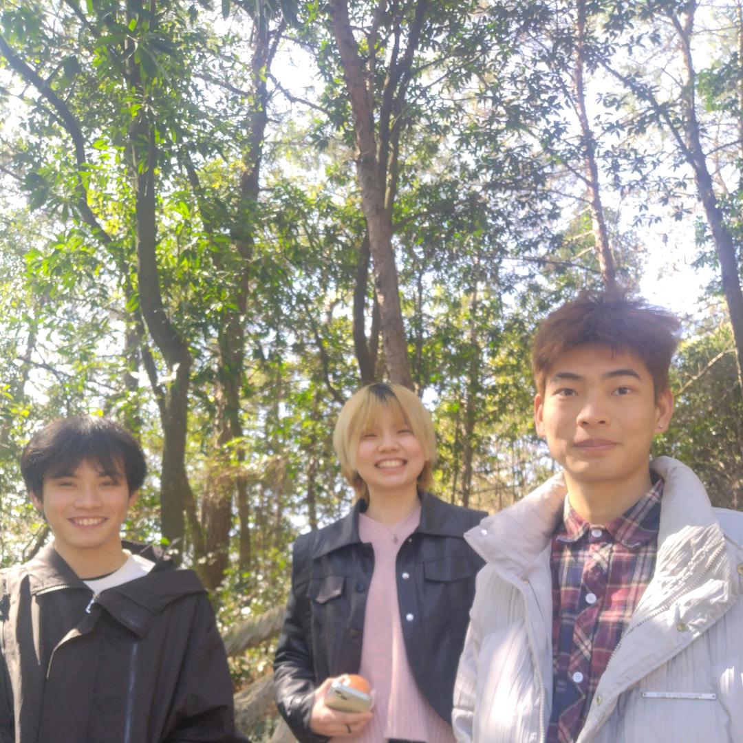 小鸽