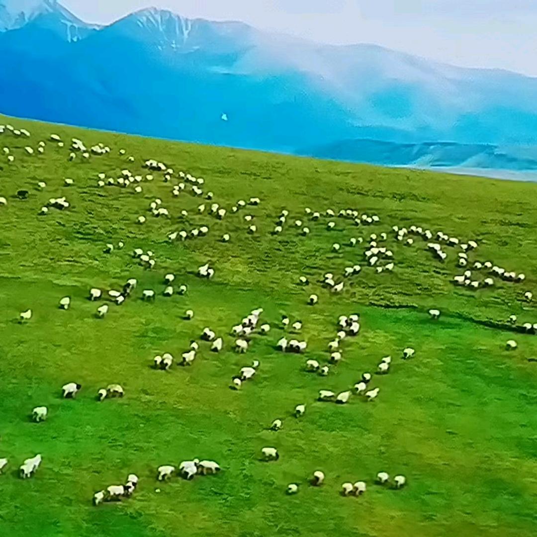 玉福堂