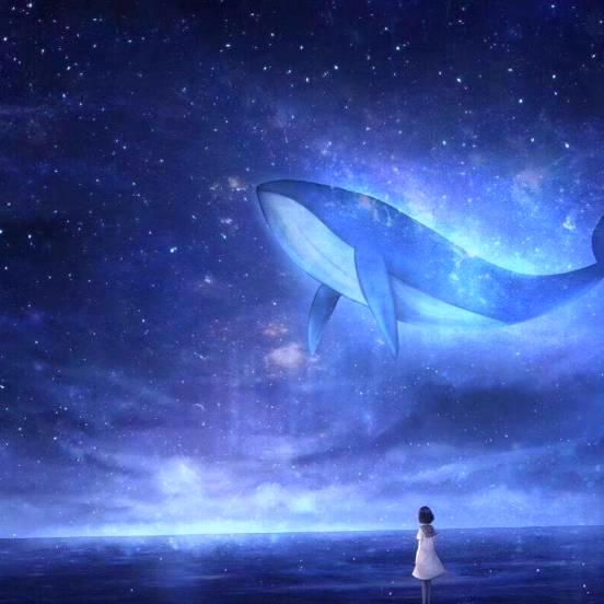 星星💫
