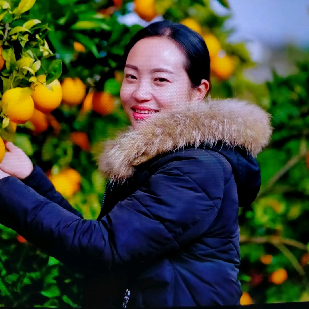 冬天里的雪